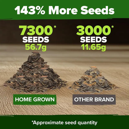 🔥Zinnia Seeds - Pure Seeds - No Filler - Heirloom Flower Seeds